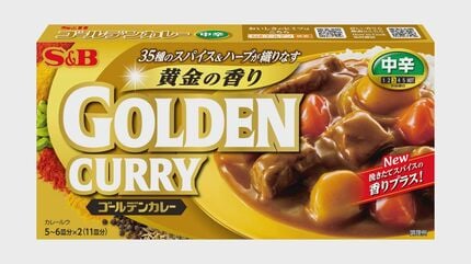 【食品】エスビー食品「ゴールデンカレー」「テーブルコショー」など値上げ　7月納品分から家庭用617品目